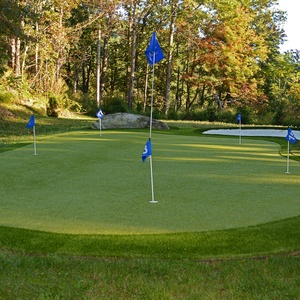 The Albatross Estate & Golf Links